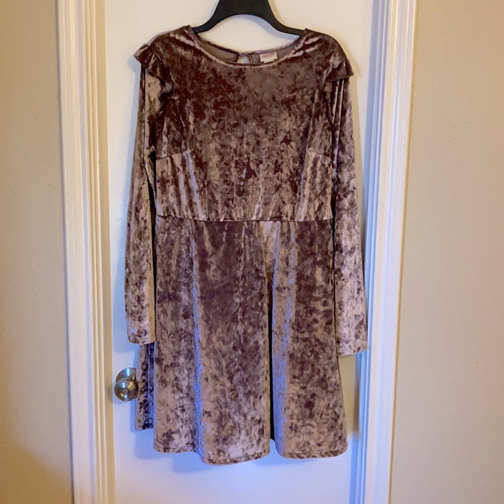 Velvet Ruffled Sleeve Dress